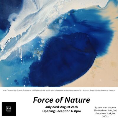 "Force of Nature "Opening soon! Spanierman Modern Gallery